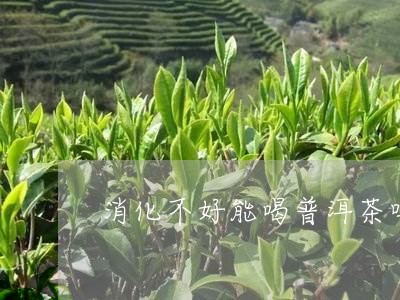 消化不好能喝普洱茶吗/2023092980461