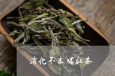 消化不良喝红茶/2023042924957