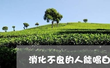 消化不良的人能喝白茶吗/2023102763949