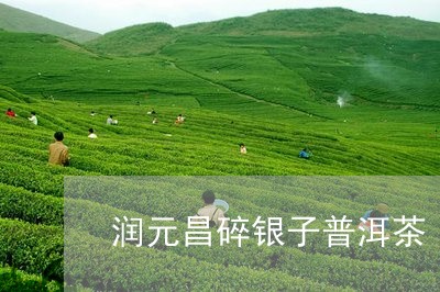 润元昌碎银子普洱茶/2023082642703