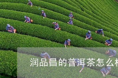 润品昌的普洱茶怎么样/2023061458481