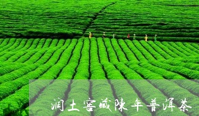 润土窖藏陈年普洱茶/2023112412714