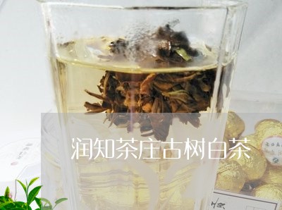 润知茶庄古树白茶/2023062274036