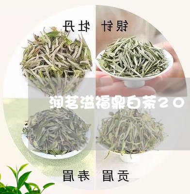 润茗溢福鼎白茶2016年/2023092592606