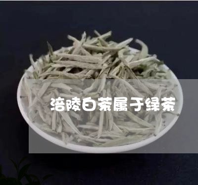 涪陵白茶属于绿茶/2023062296369