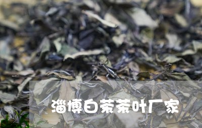 淄博白茶茶叶厂家/2023062318263