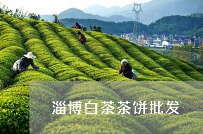 淄博白茶茶饼批发/2023062315383