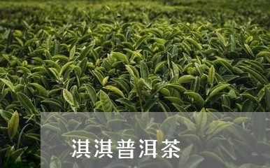 淇淇普洱茶/2023102516958