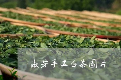 淑芳手工白茶图片/2023062378593