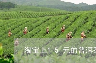 淘宝上15元的普洱茶/2023061977369