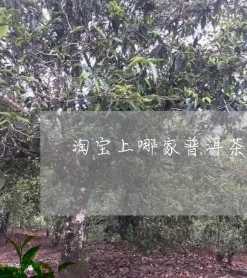 淘宝上哪家普洱茶最好/2023100880505