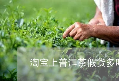 淘宝上普洱茶假货多吗/2023092859504