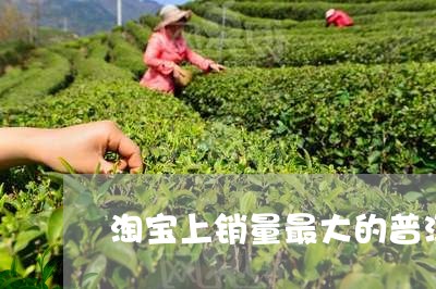 淘宝上销量最大的普洱茶/2023120721635