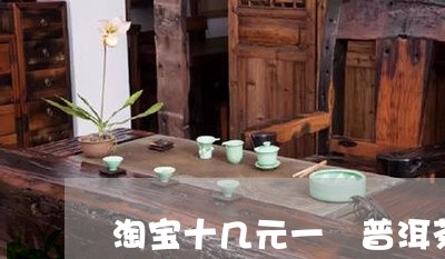 淘宝十几元一栟普洱茶/2023072130604