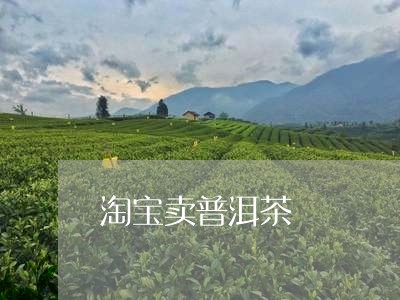 淘宝卖普洱茶/2023042931882