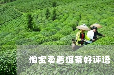 淘宝卖普洱茶好评语/2023071174159