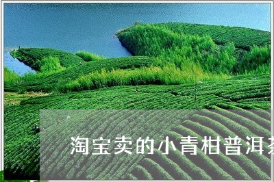 淘宝卖的小青柑普洱茶/2023072220292