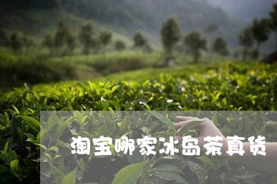 淘宝哪家冰岛茶真货/2023042606058