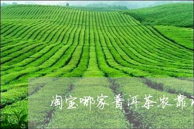 淘宝哪家普洱茶农靠谱/2023061438795