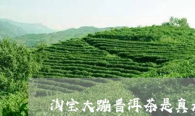 淘宝大蹦普洱茶是真是假/2023102459581