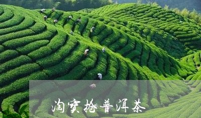 淘宝抢普洱茶/2023042904141