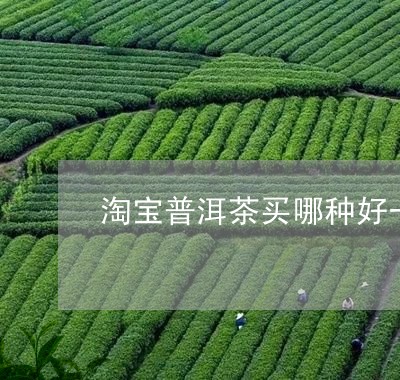 淘宝普洱茶买哪种好一点/2023110312839