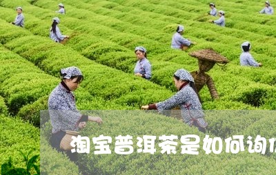 淘宝普洱茶是如何询价/2023061961705