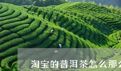 淘宝的普洱茶怎么那么便宜了/2023110276369