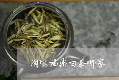 淘宝福鼎白茶哪家/2023062391848