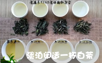 淡泊闲适一杯白茶/2023062377260