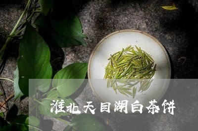 淮北天目湖白茶饼/2023062330695