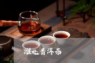 淮北普洱茶/2023090594847