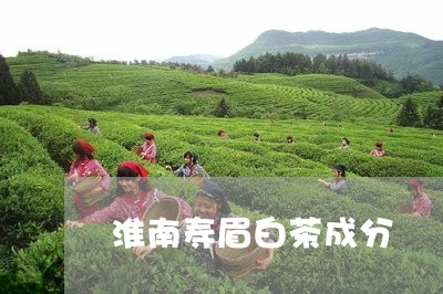 淮南寿眉白茶成分/2023090891725