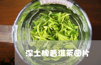 深土牌普洱茶图片/2023120474971