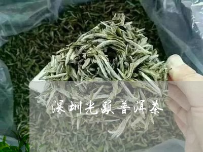 深圳光头普洱茶/2023101611736