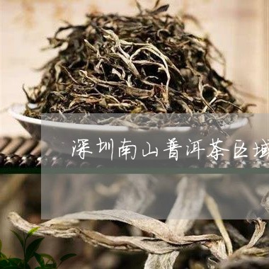 深圳南山普洱茶区域链/2023100704258