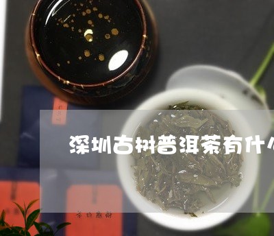 深圳古树普洱茶有什么用途/2023121799481