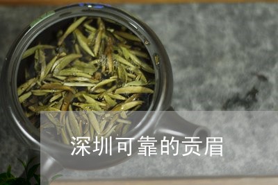 深圳可靠的贡眉/2023112525139