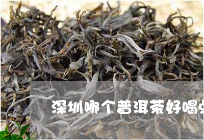 深圳哪个普洱茶好喝点的/2023121764826