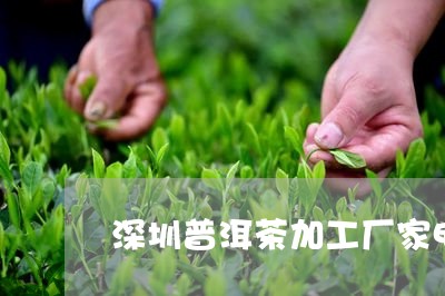 深圳普洱茶加工厂家电话/2023102538472