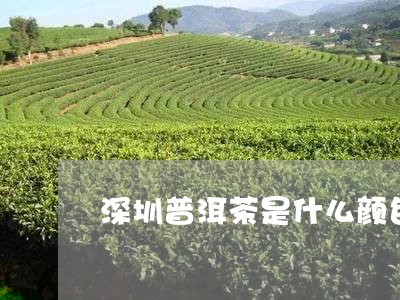 深圳普洱茶是什么颜色/2023062719382