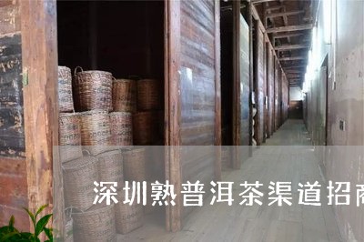 深圳熟普洱茶渠道招商/2023092563715