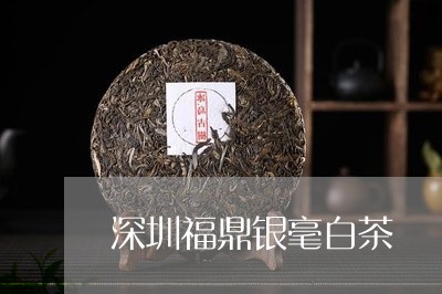 深圳福鼎银毫白茶/2023112510624