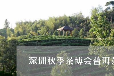 深圳秋季茶博会普洱茶/2023100794938