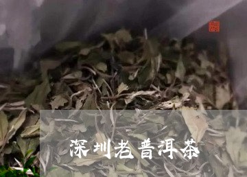 深圳老普洱茶/2023042966180