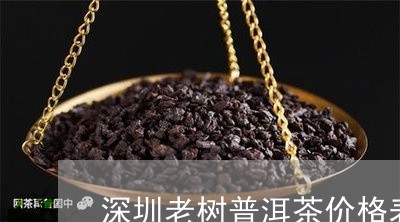 深圳老树普洱茶价格表和图片/2023121705829