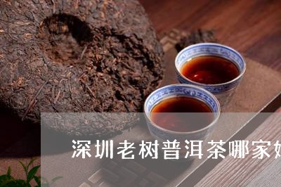 深圳老树普洱茶哪家好些/2023112813935