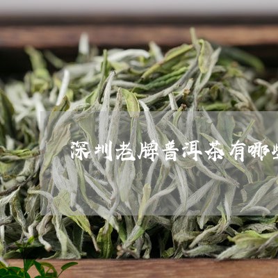 深圳老牌普洱茶有哪些品种/2023121736292