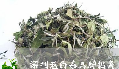 深圳老白茶品牌招商/2023122298683