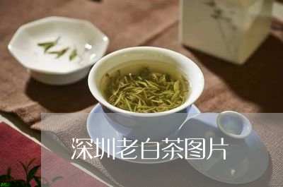 深圳老白茶图片/2023060228057